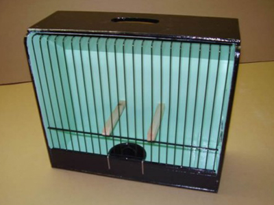 Άμστερνταμ: Έκλεινε τον κινέζο μάγειρά της σε κλουβί