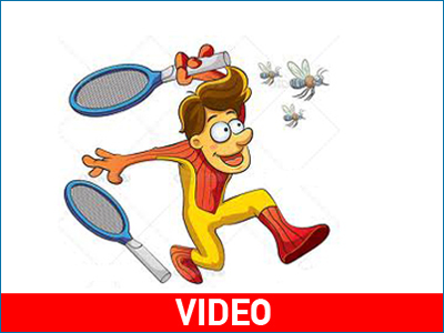 H Kρήτη πρωτοστατεί στον αντικουνουπικό αγώνα