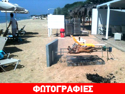 Οβελίες με βατραχοπέδιλα στη Χαλκιδική