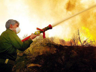 Μαραθώνας: Δασική πυρκαγιά στη θέση “Μπέη”