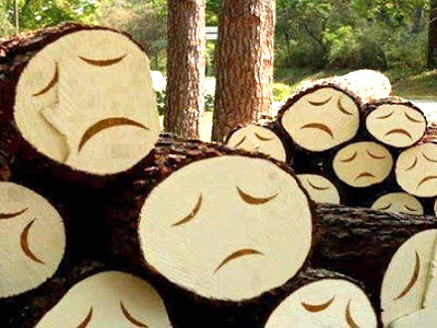 Πρόγραμμα για την πρόληψη της λαθροϋλοτομίας