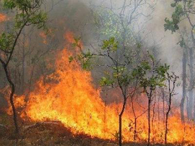 Πυρκαγιά στη Βασιλική Λασιθίου