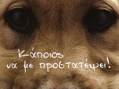 Κακοποιήσεις ζώων και συμβουλές αντιμετώπισης