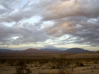 Προς ερημοποίηση οδεύει η Γη το 2025