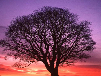 Κάθε τέλος μια αρχή, με αφορμή την Κοπεγχάγη