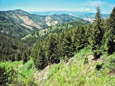 Ανακοινώθηκε η κύρωση δασικού χάρτη