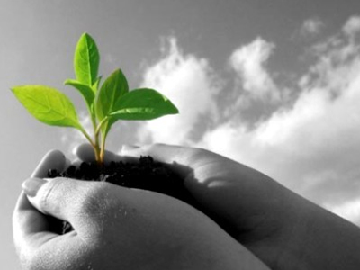 «Πράσινη ανάπτυξη και τοπική κοινωνία»