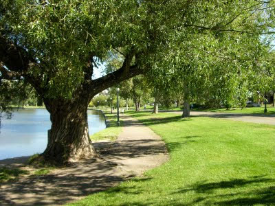 Μητροπολιτικό πάρκο το 2012 στη Θεσσαλονίκη