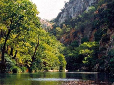 WWF και Greenpeace ενώνουν τη φωνή τους με τον Οικουμενικό Πατριάρχη