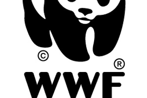 Τα παιδιά στέλνουν μήνυμα στον πρωθυπουργό