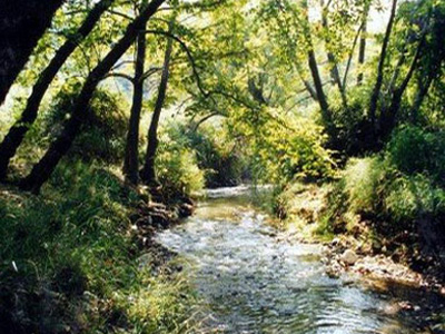 Οικολογική καταστροφή στην Αρχαία Ολυμπία