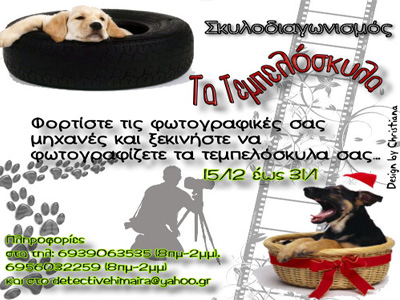 Σκυλοδιαγωνισμός….. «Τα Τεμπελόσκυλα»