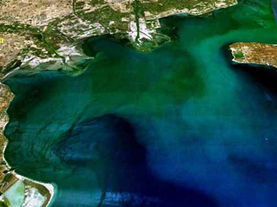 Νέο πρόγραμμα προστασίας του Θερμαϊκού Κόλπου