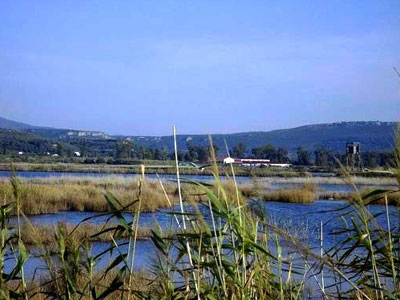 Συρρικνώνεται ο υγρότοπος της εκβολής Μορώνη Σούδας στην Κρήτη
