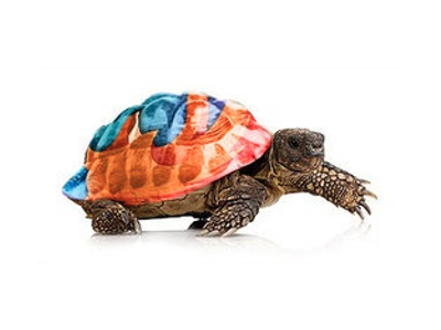 Τα «πρόσθετα» προγράμματα που καθυστερούν το Firefox – η λίστα της ντροπής