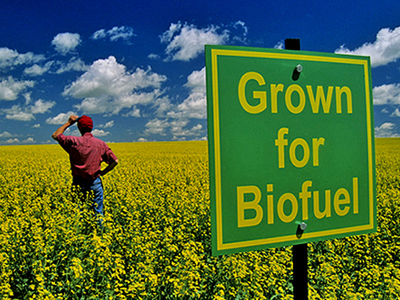 Έντονη ανησυχία προκαλούν οι ρύποι από τα βιοκαύσιμα