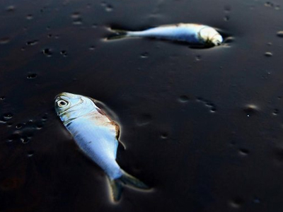 Ποιο θα είναι τελικά το πρόστιμο που θα επιβληθεί στην BP;