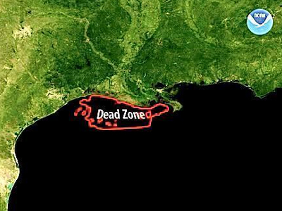 Άσχημα μαντάτα για τον Κόλπο του Μεξικού