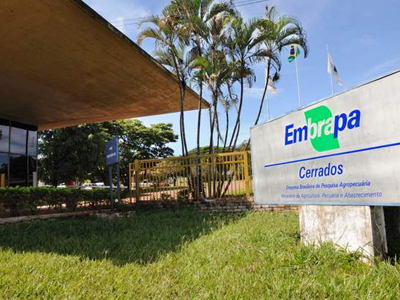 Για ποιο λόγο η Βραζιλία θα κλωνοποιήσει επαπειλούμενα ζώα;