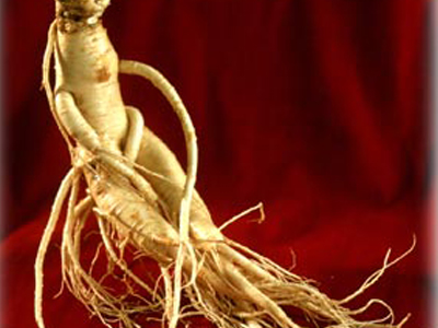 Τζίνσενγκ, η ρίζα της ζωής!