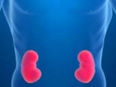 Το γκρέιπφρουτ και η καλή λειτουργία των νεφρών