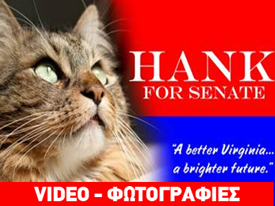 Γνωρίστε τον γάτο που έθεσε υποψηφιότητα για τη Γερουσία των ΗΠΑ