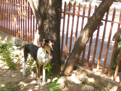 Βοηθήστε να σώσουμε τον Μιχάλη