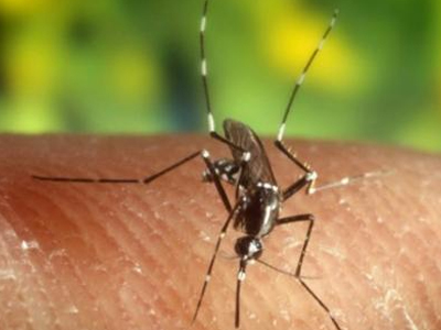 Οι επικίνδυνες περιοχές για την μετάδοση του ιού του Δυτικού Νείλου Οι επικίνδυνες περιοχές για την μετάδοση του ιού του Δυτικού Νείλου