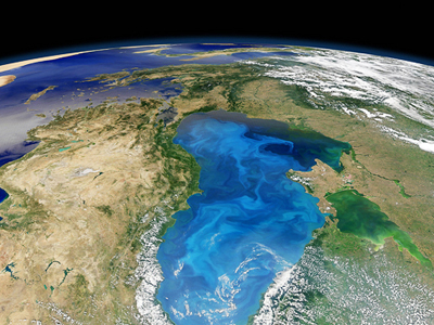 Που πάει το φυτοπλαγκτόν όταν οι τροπικές θάλασσες θερμαίνονται; Που πάει το φυτοπλαγκτόν όταν οι τροπικές θάλασσες θερμαίνονται;