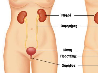 Μπορεί το διάφραγμα να προκαλέσει λοίμωξη του ουροποιητικού συστήματος;