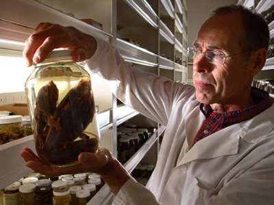 Άγνωστη εν έτει 2012 η ζωή στους ωκεανούς Άγνωστη εν έτει 2012 η ζωή στους ωκεανούς