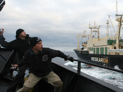 Νέα καταγγελία της Sea Shepherd σε βάρος ιαπωνικών φαλαινοθηρικών