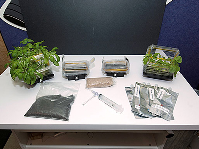 Θα καλλιεργηθούν φυτά στο διάστημα;