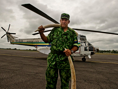 Ανελέητη σφαγή ελεφάντων στο Τσαντ