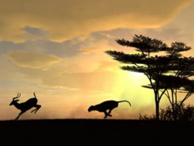 Επιτείνεται η κλιματική αλλαγή από τον αφανισμό των θηρευτών