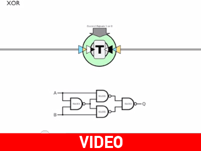 Κύτταρα-υπολογιστές θα εντοπίζουν προβλήματα υγείας; Κύτταρα-υπολογιστές θα εντοπίζουν προβλήματα υγείας;