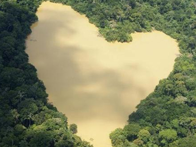 Αντιστέκονται σθεναρά τα τροπικά δάση στην κλιματική αλλαγή