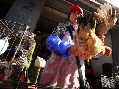 Κλείνει προσωρινά η Σανγκάη τις αγορές ζωντανών πουλερικών