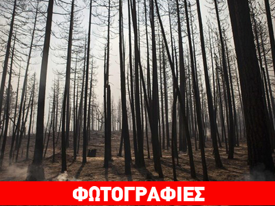 Ιστορικά τραγικός ο απολογισμός για το εθνικό πάρκο Γιοσέμιτι