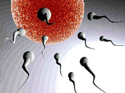 Η ανδρική γονιμότητα και τα αντιοξειδωτικά