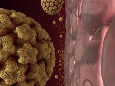 SEXUALITY: Σχετικά με το εμβόλιο για τον ιό HPV