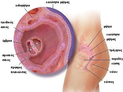 Επειδή μπορεί να συμβεί και σε σένα…