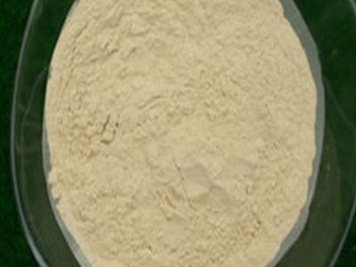 Οι θαυματουργές ιδιότητες του αργίλου