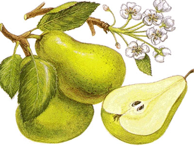 Μάσκα ομορφιάς από αχλάδι