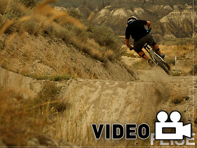 Μοναχικός “λύκος”