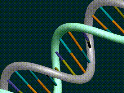 Προεμφυτευτική γενετική διάγνωση