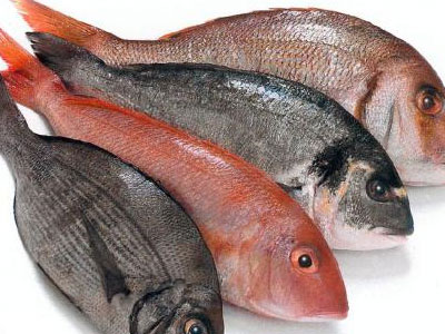 Ψάρια κατά του εγκεφαλικού