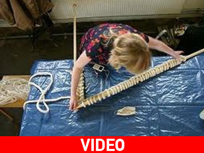 Η μόδα νοιάζεται για το περιβάλλον