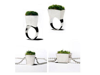 Πότισες τα δαχτυλίδια σου;