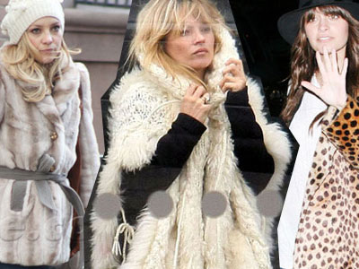 Ρεσιτάλ γούνας